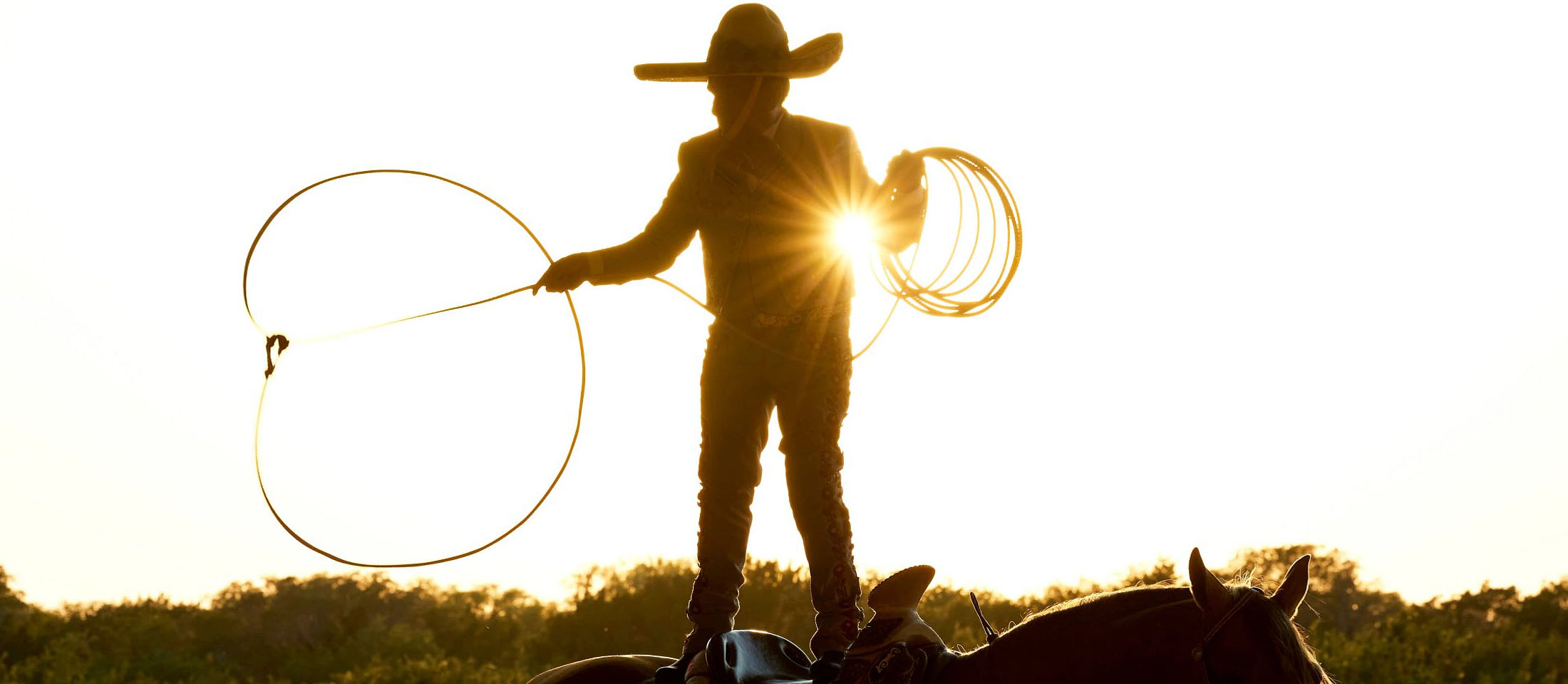 La silueta de un hombre parado encima de un caballo, balanceando una cuerda.